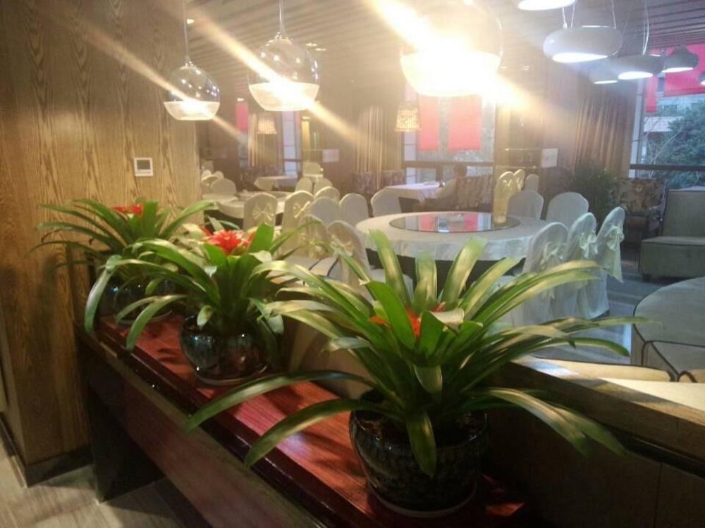 Chengdu Hello Hotel Shuangliu Exterior photo